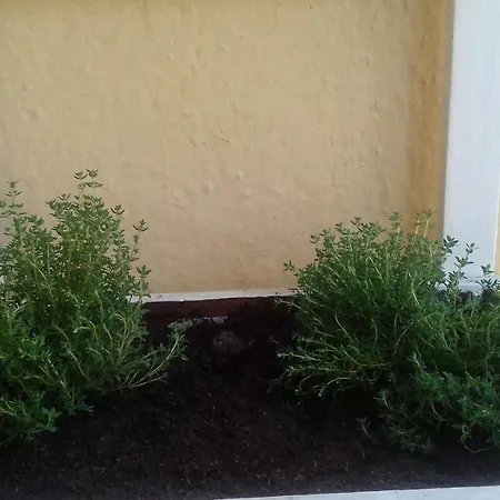 Piso En Emili's House קורדובה