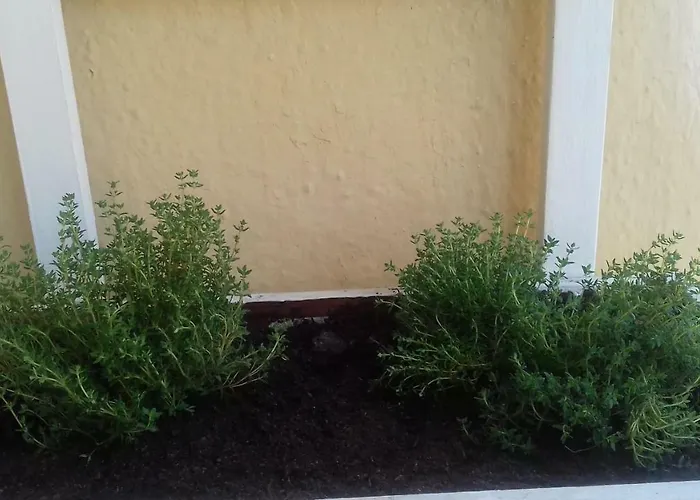 Piso En Emili's House קורדובה